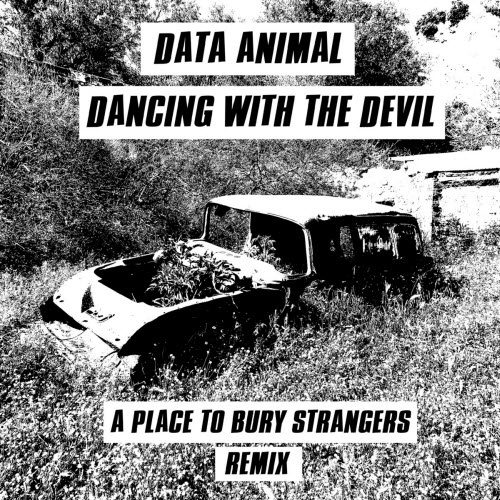 Data Animal - Dancing With The Devil (A Place To Bury Demonic Possession Remix) (2025) [Single]