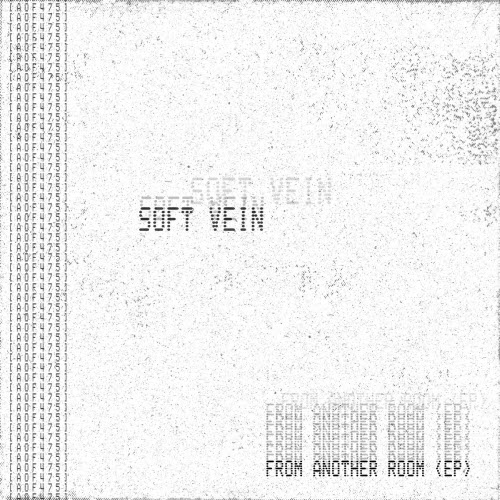 Soft Vein - From Another Room (2025) [EP]