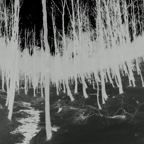 SELM - Kreise (2019)
