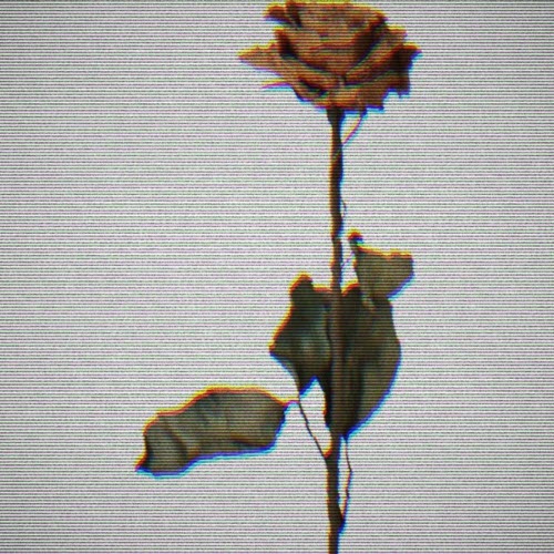 Blut Reaktor - Dying The Best I've Ever Had (2025) [Single]