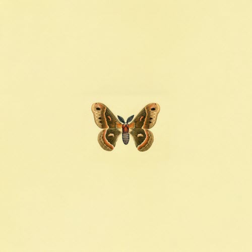 Birds Of Passage - It's What I Am (2025) [Single]