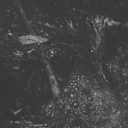 Holy Water - Holy Water (2023)