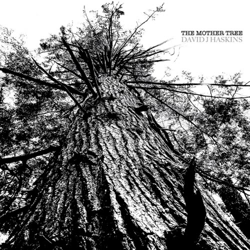 David J Haskins - The Mother Tree (2025)
