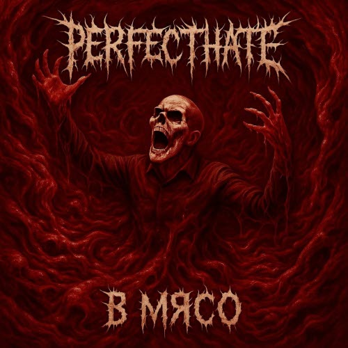 PerfectHate - В Мясо (2025)