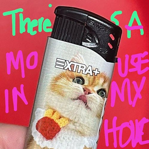 Dog Race - There's A Mouse In My House (2023) [Single]