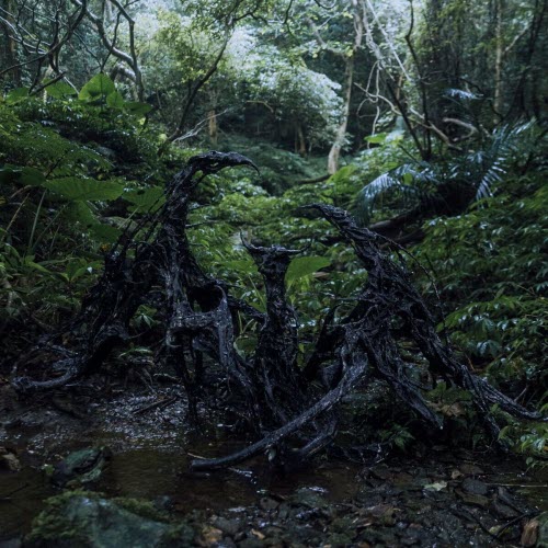 Fatalism - (N)Ether (2025)