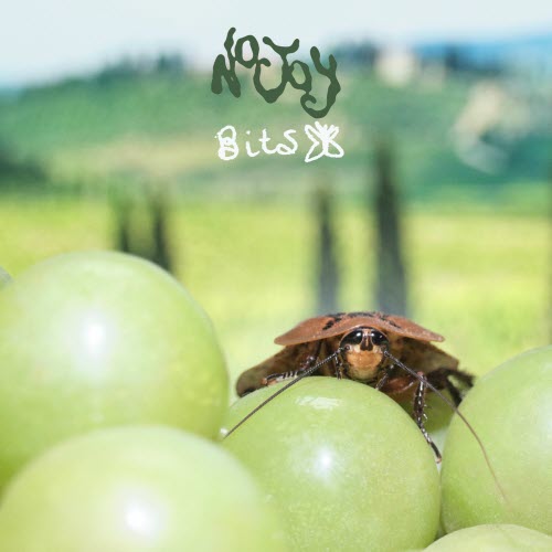 No Joy - Bits (2025) [Single]