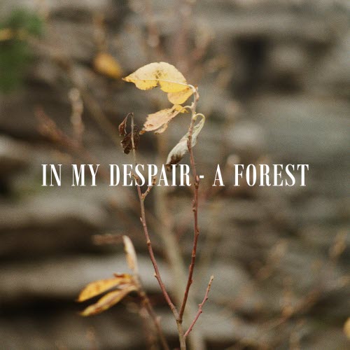 In My Despair - A Forest (2019) [Single]