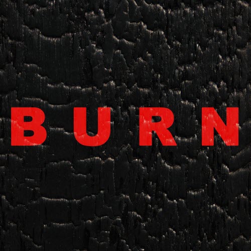 Such Beautiful Flowers - Burn (2025) [Single]