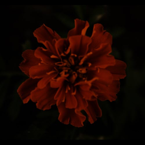 La Tourmente - Collection I (2025)