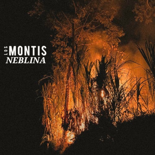 Los Montis - Neblina (2023) [Single]