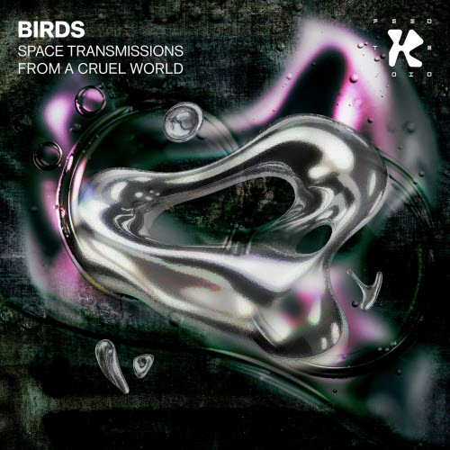 Birds - Space Transmissions From A Cruel World (2025) [EP]