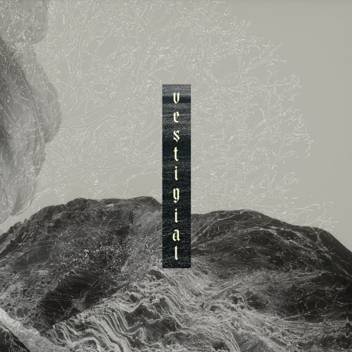Vestigial - Descending Vastness (2025)