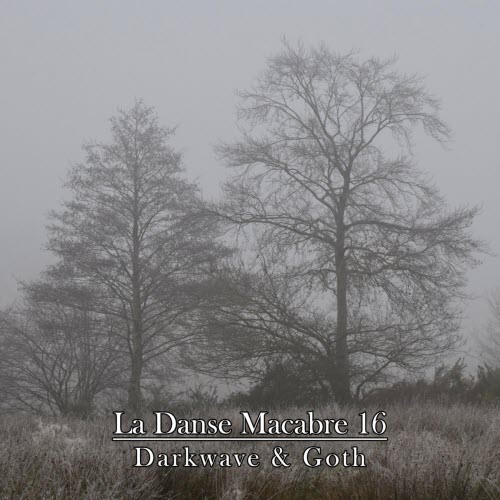 VA - La Danse Macabre 16 (2024)