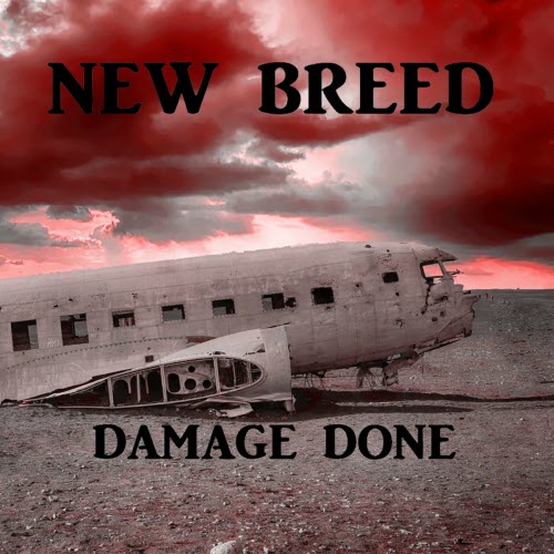 New Breed - Damage Done (2022) [Single]