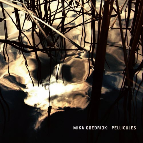 Mika Goedrijk - Pellicules (2009)