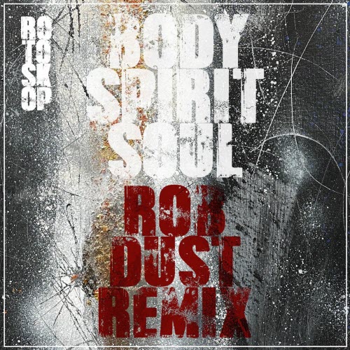 Rotoskop - Body Spirit Soul (Rob Dust Remix) (2025) [Single]