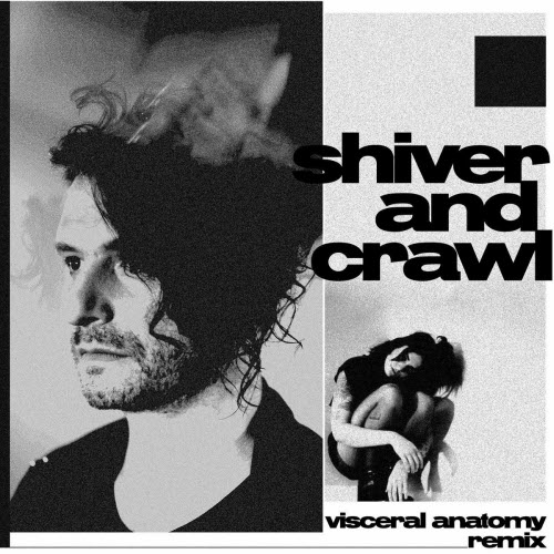 Panic Priest - Shiver And Crawl (Visceral Anatomy Remix) (2020) [Single]