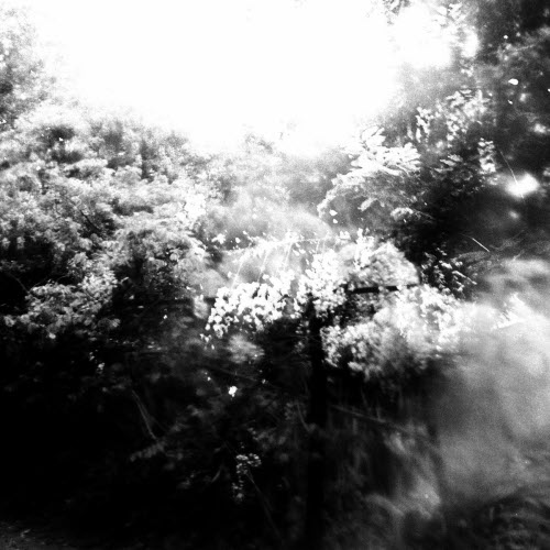 Velvetine - Wisteria (2025) [EP]