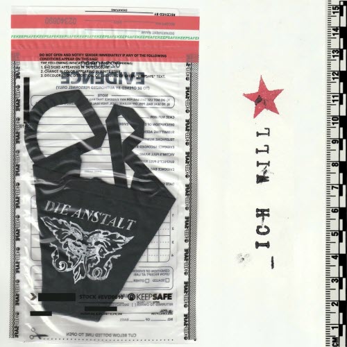 Die Anstalt - Ich Will (2025) [Single]