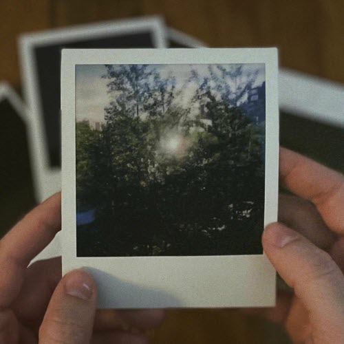 Vines - Birthday Party (2023)