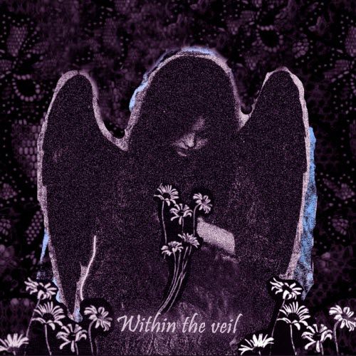 Vioflesh - Within The Veil (2025) [Single]