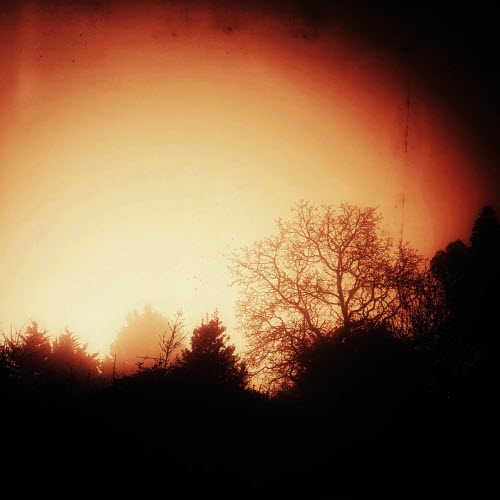 Detritus - Cynefin (2025)