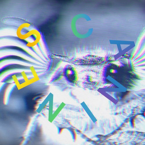 CANINES - Canines (2025) [EP]