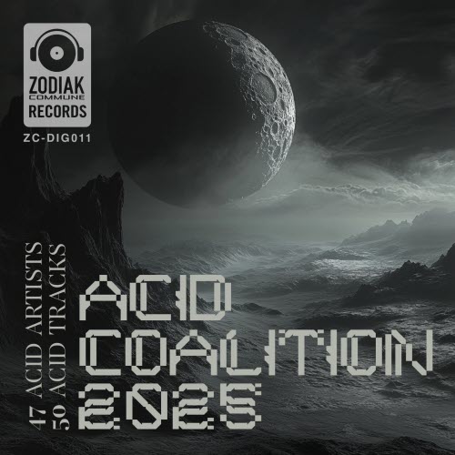 VA - Acid Coalition 2025 (2025)