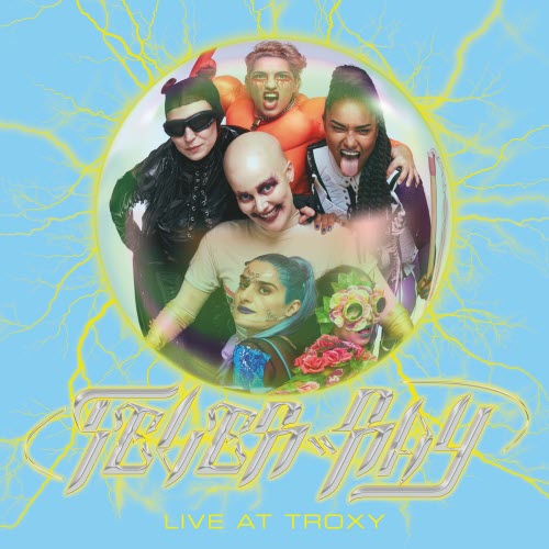 Fever Ray - Live At Troxy (2019)