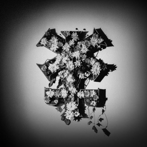 Pelteras - Lintasan (2025) [Single]