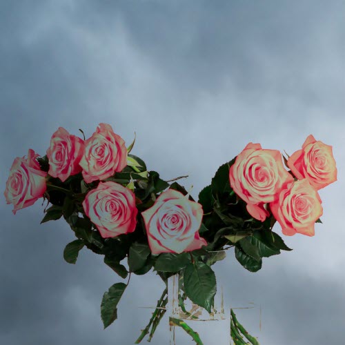 Jacqui Hunt - Warrior (Reprise) (2020) [Single]