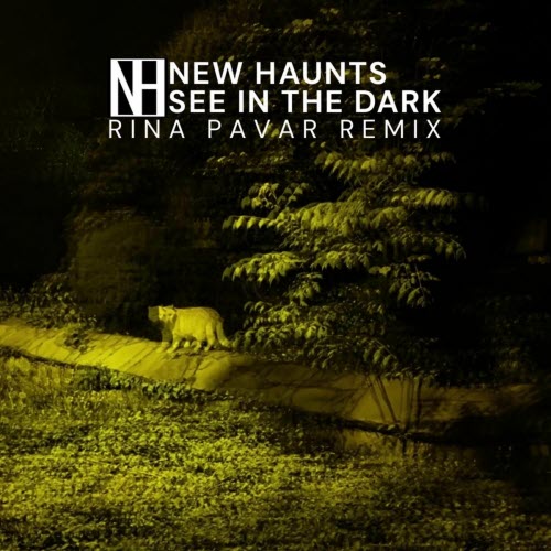 New Haunts - See In The Dark (Rina Pavar Remix) (2025) [Single]