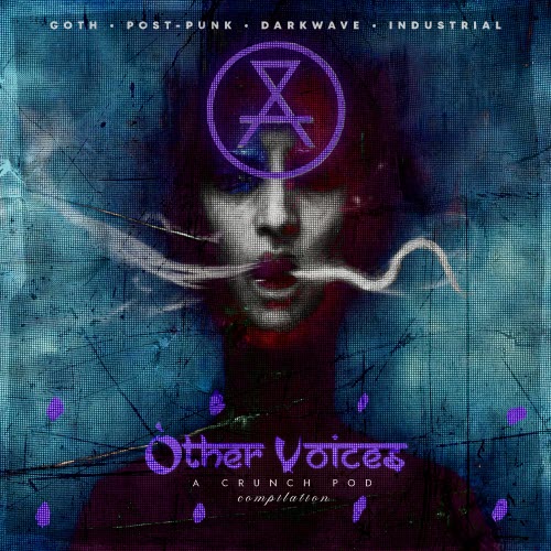 VA - Other Voices: A Crunch Pod Compilation (2025)