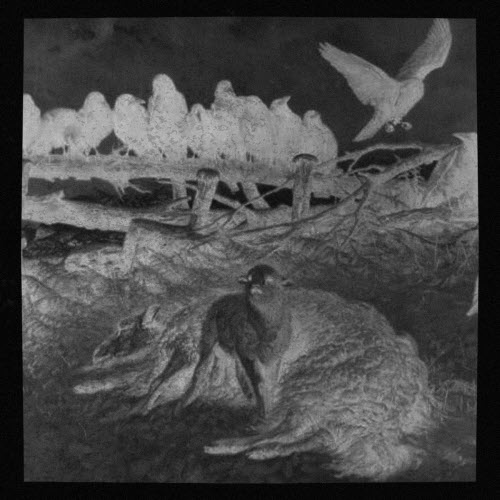 Piel De Lana - Malagradecido (2025) [Single]
