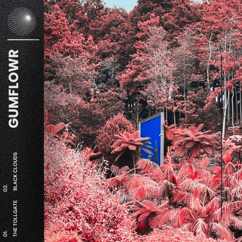 Gumflowr - The Tollgate / Black Clouds (2025) [Single]