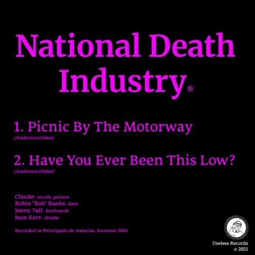 National Death Industry - Picnic By The Motorway / Have You Ever Been This Low? (2025) [Single]