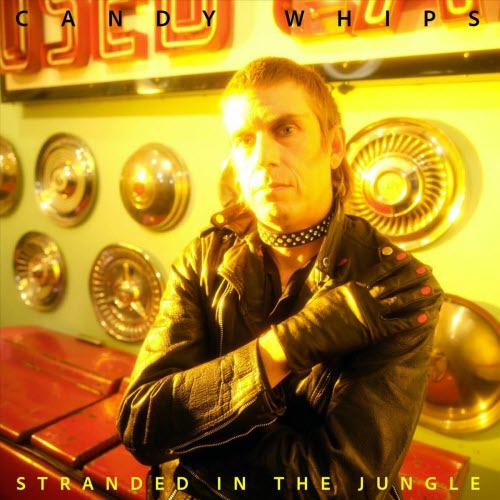 Candy Whips - Stranded In The Jungle (2025) [Single]