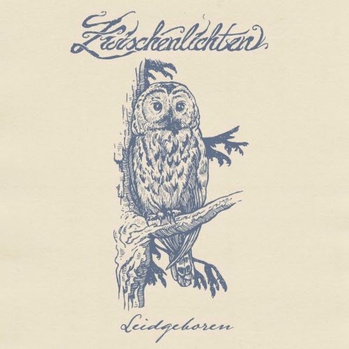 Zwischenlichten - Leidgeboren (2025) [Single]