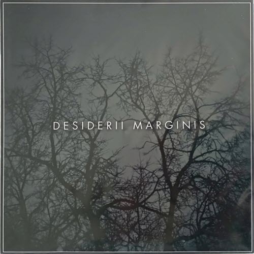 Desiderii Marginis - The Night Slept On My Arm (2023) [Single]