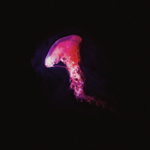 Donbor - Solace (2025) [EP]