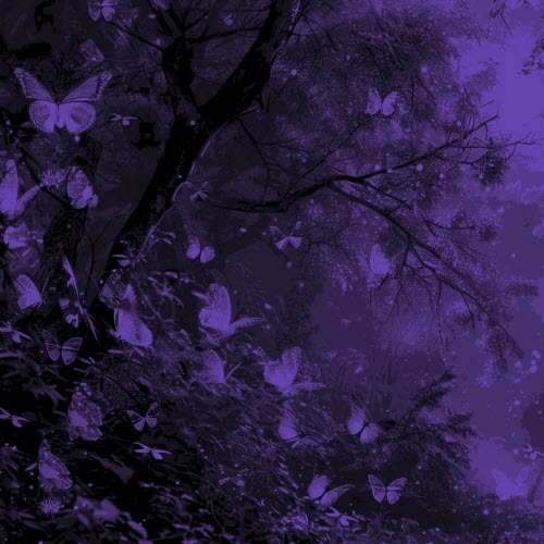 Dexkiris - Violet Rebirth (2024) [Single]