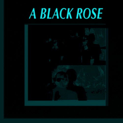This Cold Night - A Black Rose (3s Version) (2025) [Single]