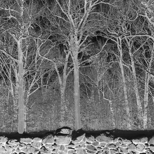 Pile - Sunshine And Balance Beams (2025)