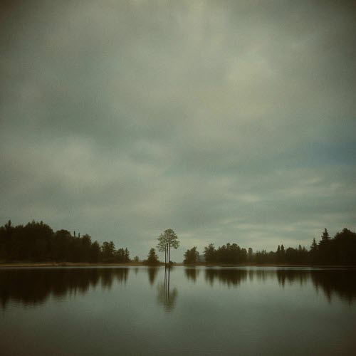 Antipole & Paris Alexander - Alone Again (R. Missing Remix) (2025) [Single]