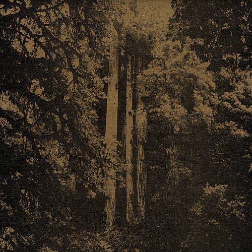 The Tunnel - Carver Brothers Lullaby (2009)