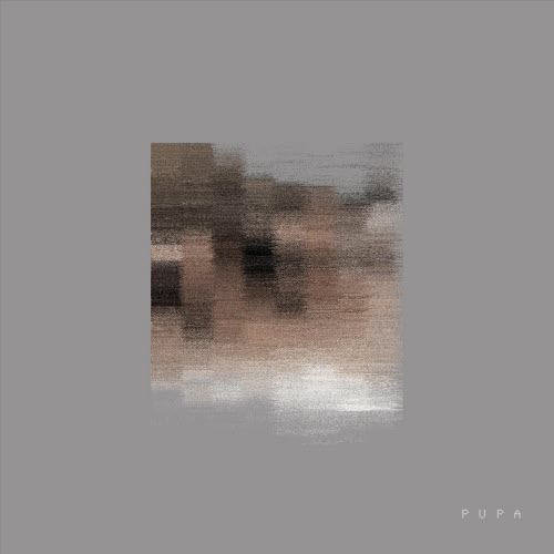 Drosophelia - Pupa (2018) [EP]