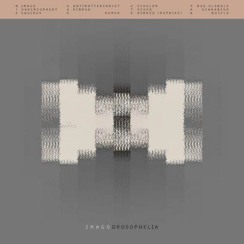 Drosophelia - Imago (2019)