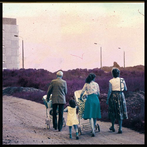 Twins In Colour - Crown Of Dust (2025) [Single]