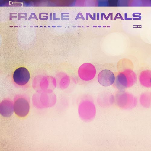 Fragile Animals - Only Shallow / Only More (2019) [EP]